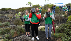 Compañeros colaborando en la plantación 